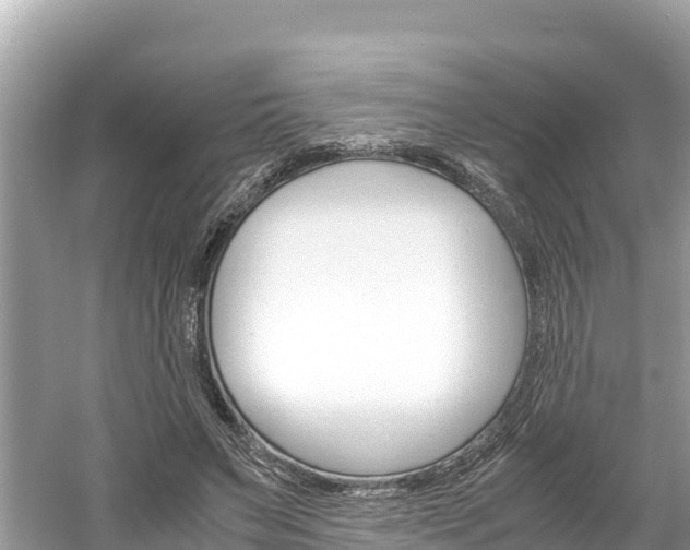 X0000061760495200512021142