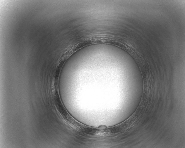 X0000061760504200512021142