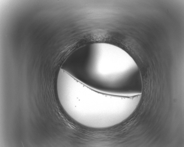 X0000061760505200512021142