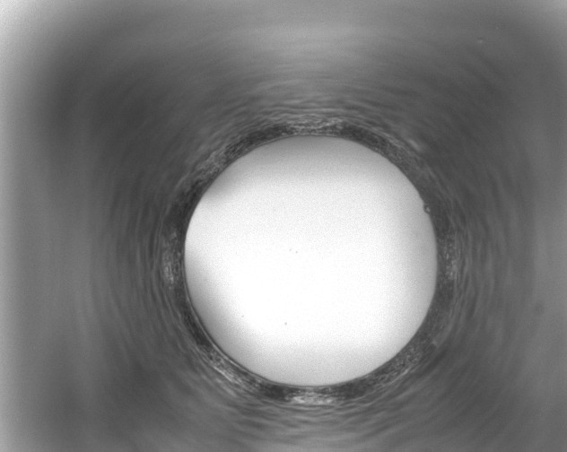 X0000061760515200512021142