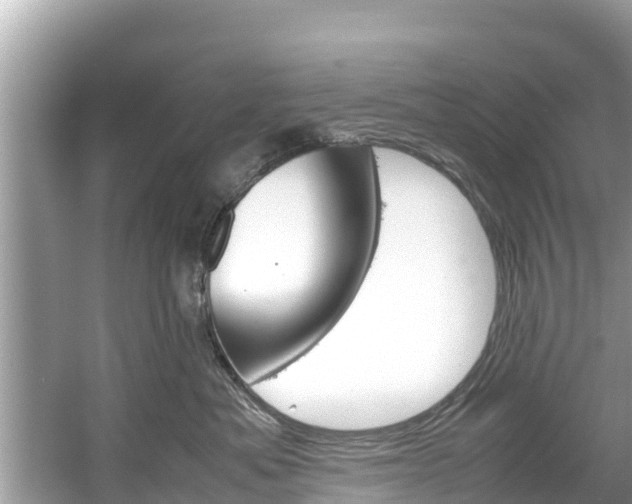 X0000061760525200512021142