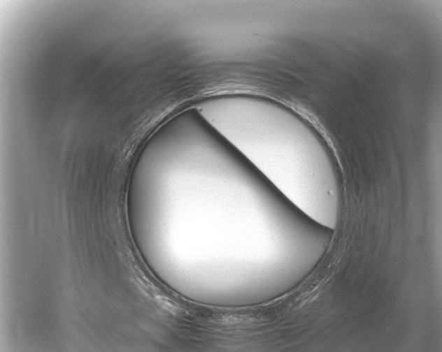 X0000061760529200512021141
