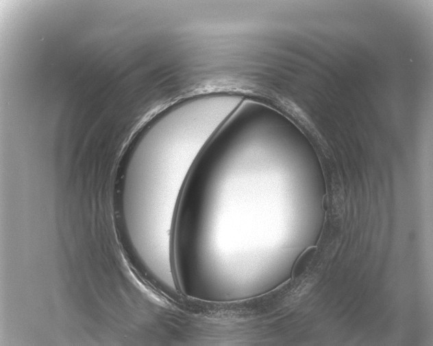 X0000061760530200512021141