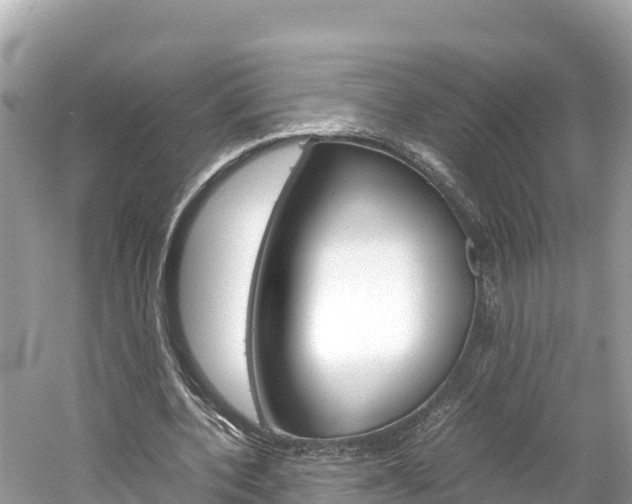 X0000061760532200512021141