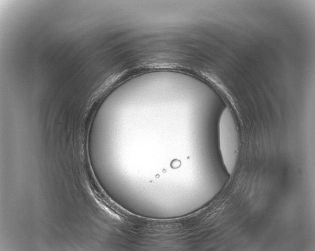 X0000061760533200512021141