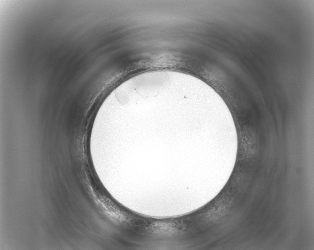X0000061760534200512021141