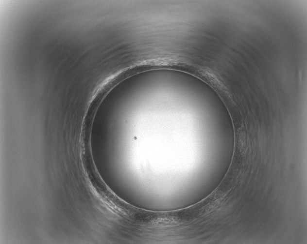 X0000061760536200512021141