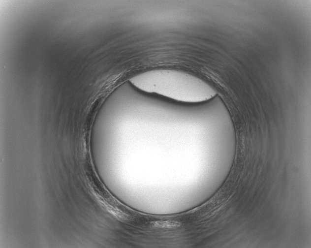 X0000061760541200512021141