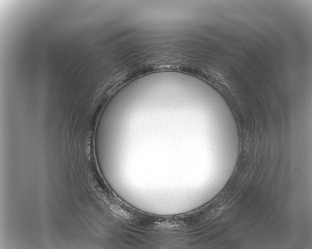 X0000061760545200512021141