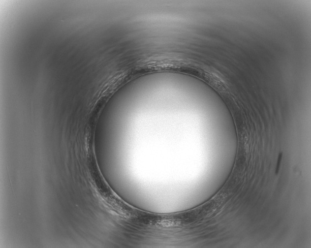 X0000061760546200512021141