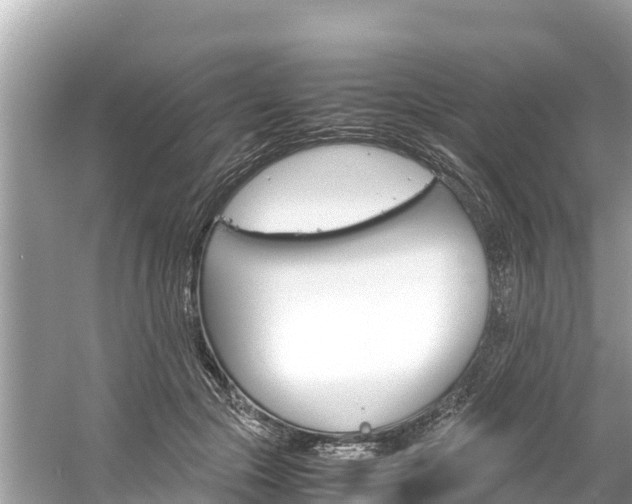 X0000061760553200512021141