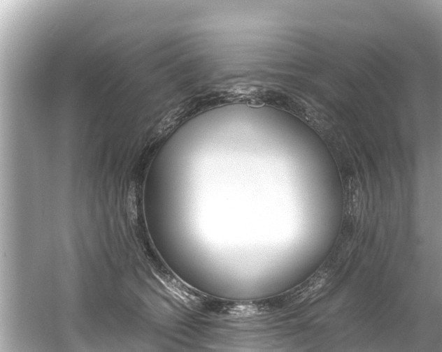 X0000061760562200512021141