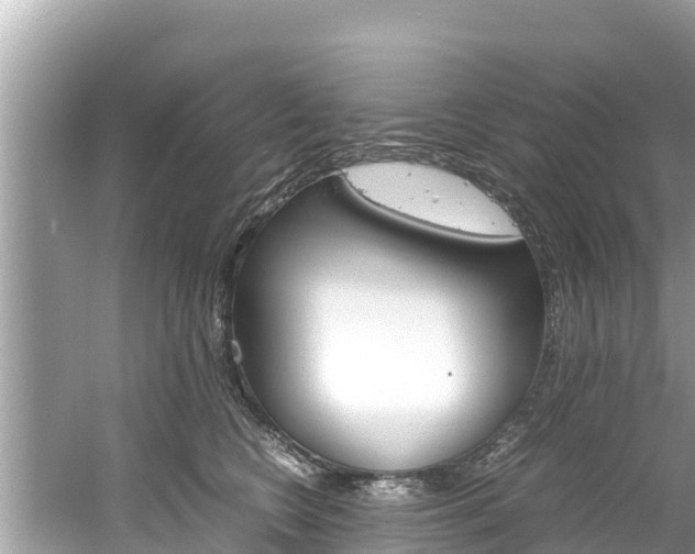 X0000061760566200512021142