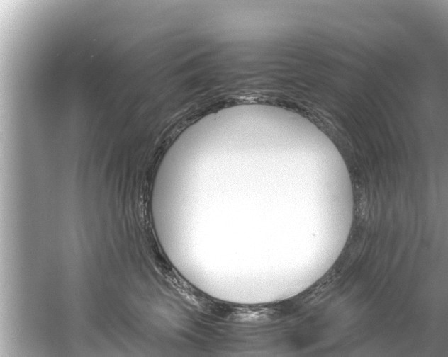 X0000061760569200512021142