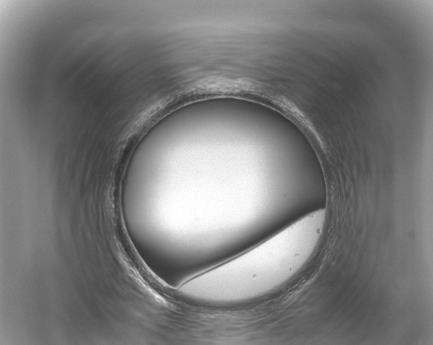 X0000061760581200512021141