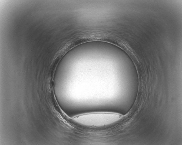 X0000061760585200512021141