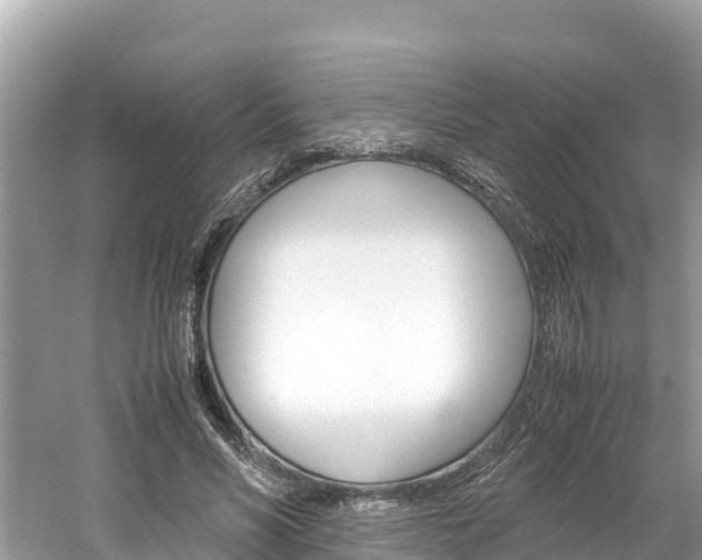 X0000061760590200512021141