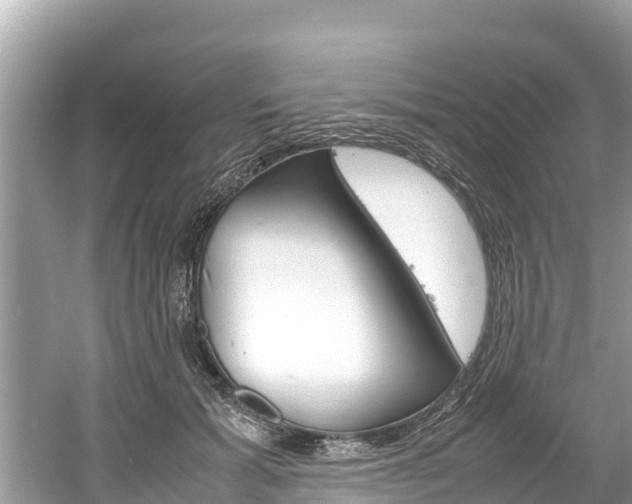 X0000061760605200512021140