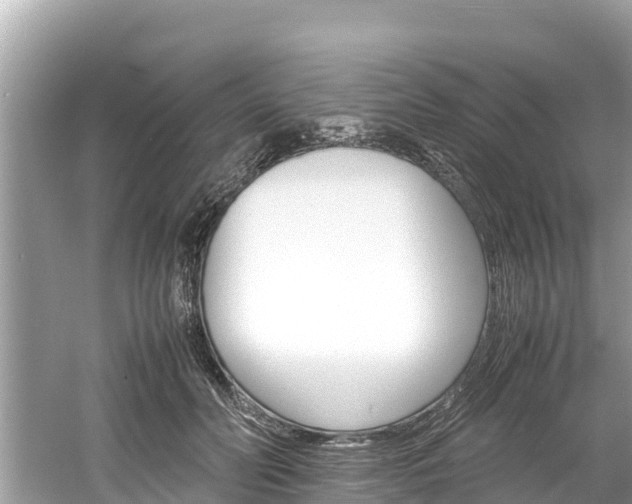 X0000061760606200512021140
