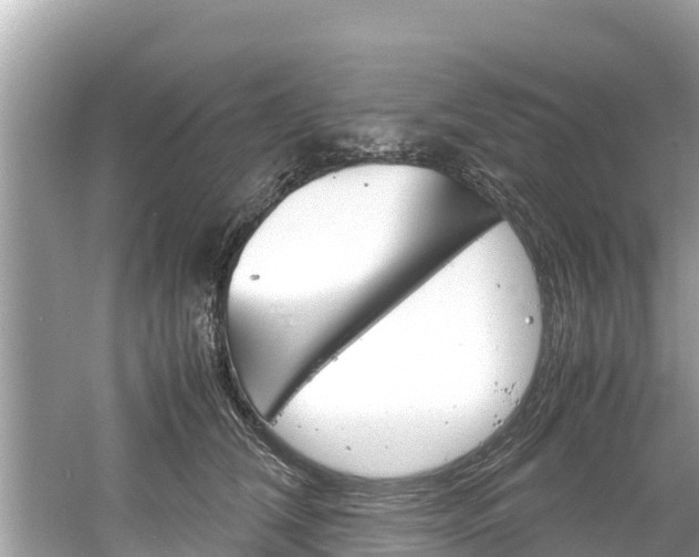 X0000061760612200512021140