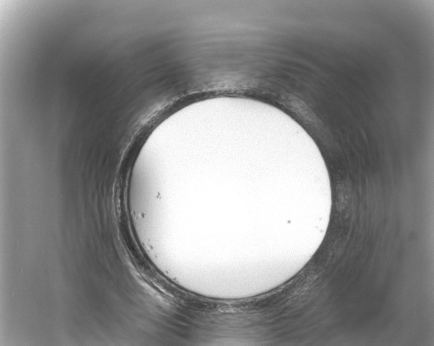 X0000061760632200512021139