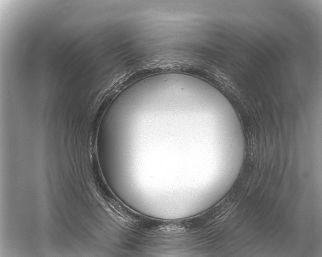 X0000061760644200512021140