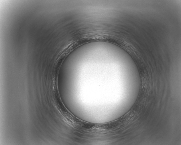 X0000061760648200512021140