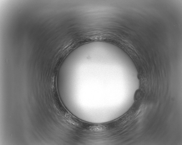 X0000061760652200512021140