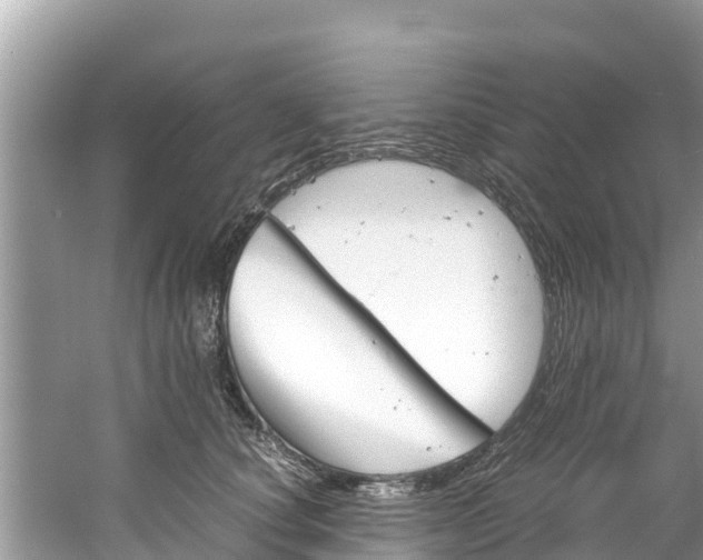X0000061760660200512021140