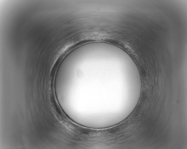 X0000061760679200512021139