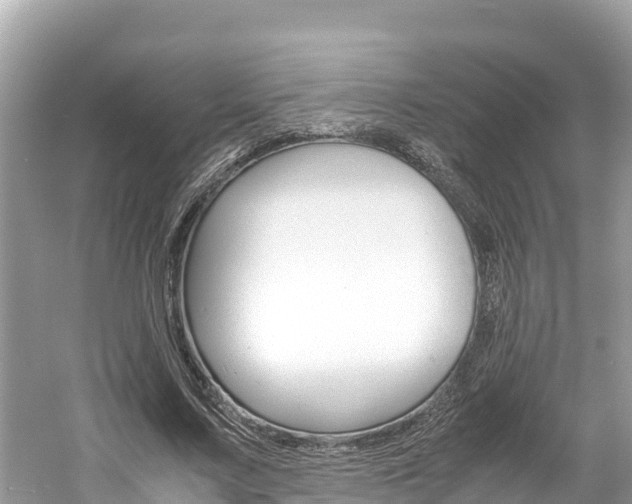 X0000061760683200512021139