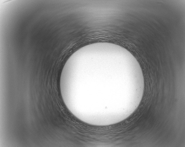 X0000061760705200512021139