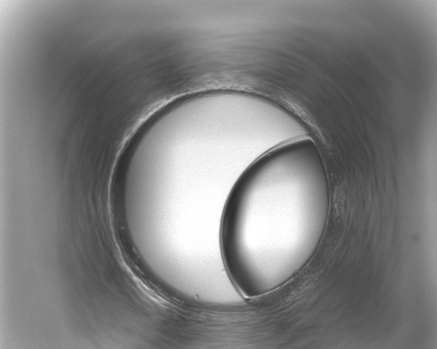 X0000061760722200512021138