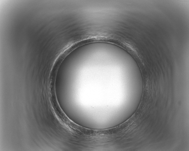 X0000061760730200512021138