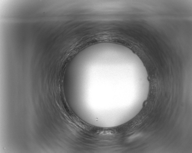 X0000061760751200512021138