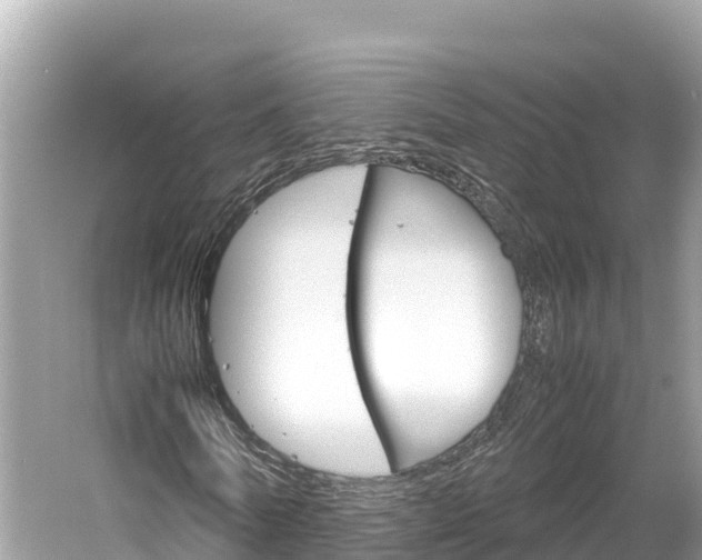 X0000061760770200512021137