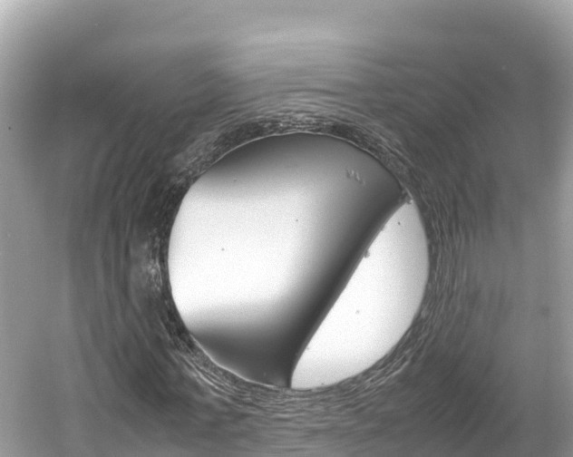 X0000061760771200512021137