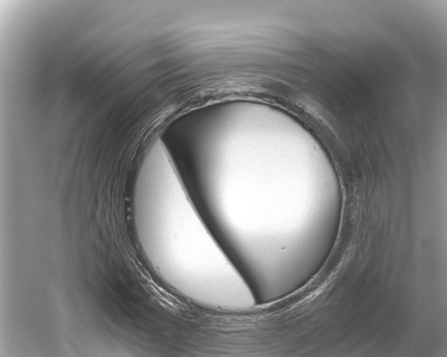 X0000061760777200512021137