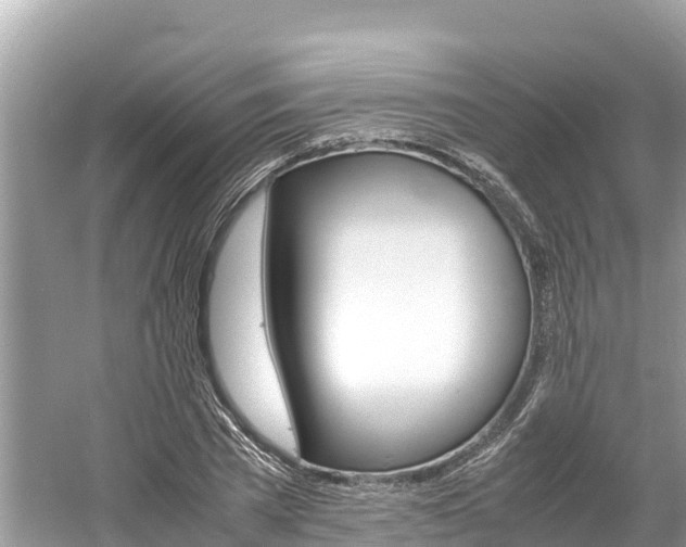 X0000061760785200512021137