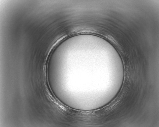 X0000061760790200512021137