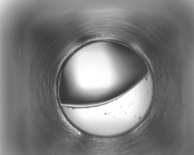 X0000061760797200512021137