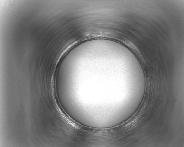 X0000061760798200512021137