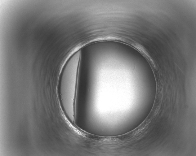 X0000061760805200512021137