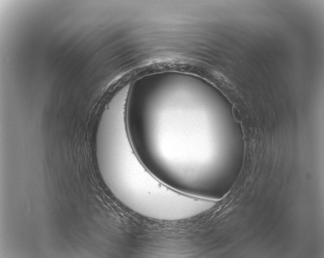 X0000061760822200512021136