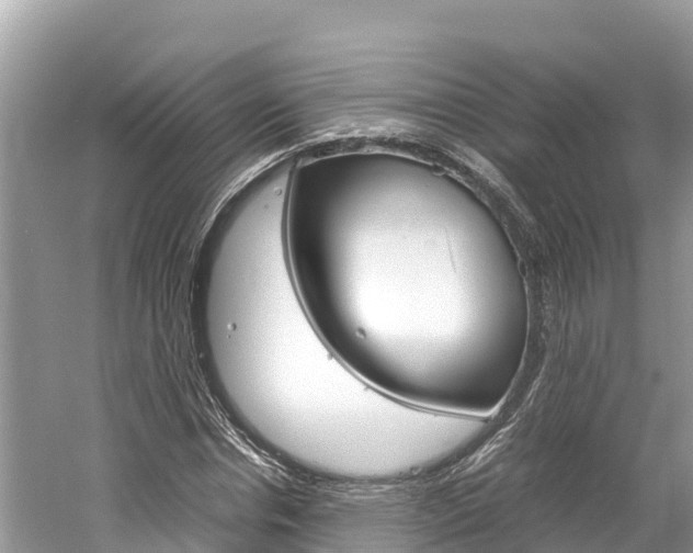 X0000061760826200512021136