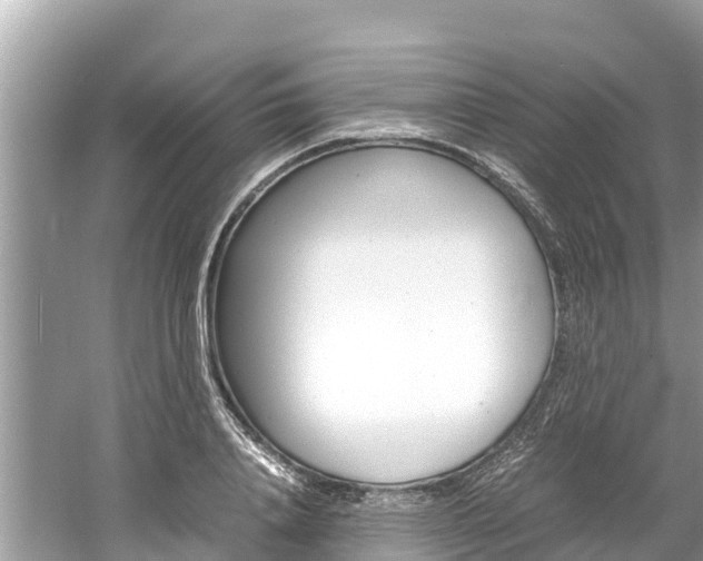 X0000061760840200512021136