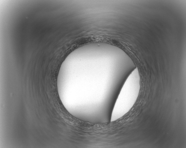 X0000061760865200512021136