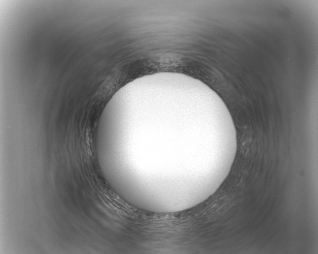 X0000061760866200512021136