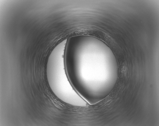 X0000061760868200512021136