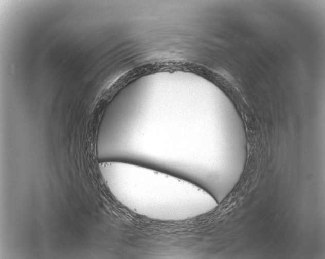 X0000061760871200512021136